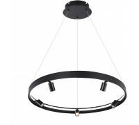 Подвесной светильник Vision 2060-D800 BK iLedex