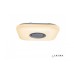 Потолочный светильник Music Music-48W-Square iLedex