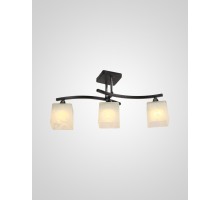 Потолочная люстра  000050564 Мелодия Света