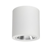 Светильник SP-FOCUS-R140-30W Day White 021428 Arlight