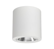 Светильник SP-FOCUS-R140-30W Day White 021428 Arlight