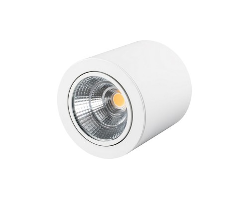 Светильник SP-FOCUS-R140-30W Day White 021428 Arlight