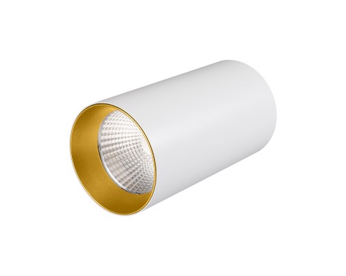 Светильник накладной SP-POLO-R85-1-15W Day White 40deg (White, Gold Ring) 022941 Arlight