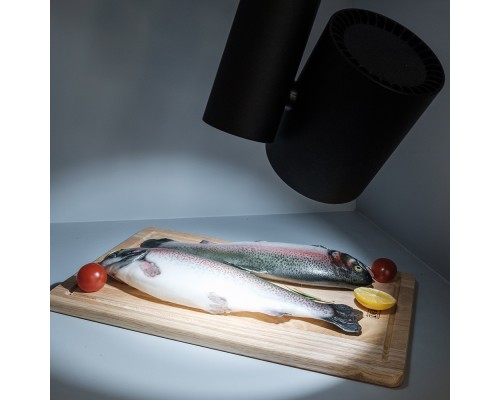 Светильник LGD-SHOP-4TR-R100-40W Cool SP7500-Fish (BK, 24 deg) 026291 Arlight