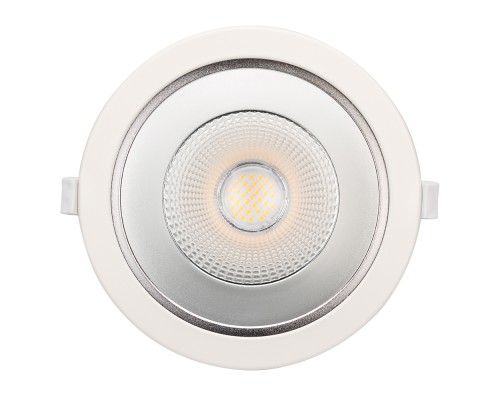 Светильник LTD-LEGEND-R115-10W White6000 (WH, 50 deg) 027315 Arlight